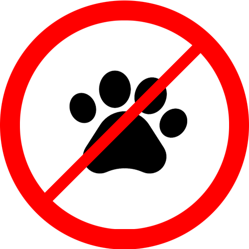 no pet